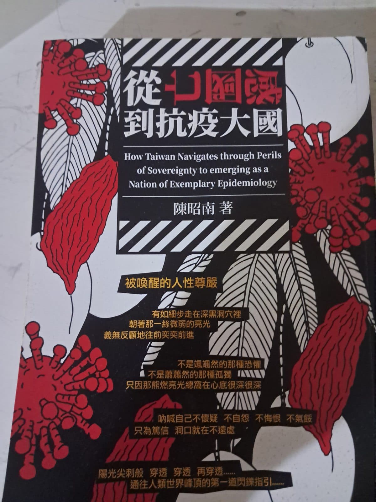 從亡國感到抗疫大國
